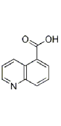 MC50101  喹啉-5-羧酸  [7250-53-5]
