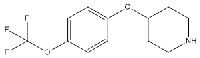 MC70749 4-[4-(Trifluoromethoxy)Phenoxy]Piperidine 287952-67-4 4-[4-(三氟甲氧基)苯氧基]哌啶