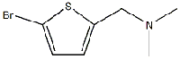 MC39365  5-bromo-N,N-dimethyl-2-Thiophenemethan amine  [81882-03-3]