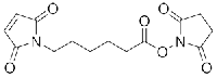 MC48378  6-(马来酰亚胺基)己酸琥珀酰亚胺酯  [55750-63-5]