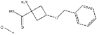 MC92049 1-AMino-3-(benzyloxy)cyclobutanecarboxylic acid hydrochloride 1207894-63-0 1-AMino-3-(benzyloxy)cyclobutanecarboxylic acid hydrochloride
