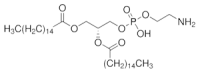 MC51848  1,2-二棕榈酰基-sn-丙三基-3-和磷酸乙氨醇  [923-61-5]