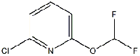 MC92204 2-chloro-6-(difluoroMethoxy)pyridine 1214377-45-3 2-氯-6-二氟甲氧基吡啶
