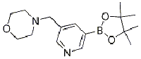 MC78656 4-((5-(4,4,5,5-tetramethyl-1,3,2-dioxaborolan-2-yl)pyridin-3-yl)methyl)morpholine 919347-16-3 4-((5-(4,4,5,5-四甲基-1,3,2-二氧杂环戊硼烷-2-基)吡啶-3-基)甲基)吗啉