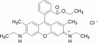 MC19175  玫瑰红6G  [989-38-8]