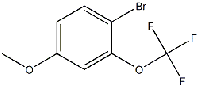 MC90643 4-methoxy-2-trifluoromethoxybromobenzene 1049730-84-8 4-溴-3-三氟甲氧基苯甲醚