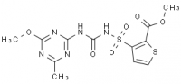 MC68140 Thifensulfuron Methyl 79277-27-3 甲基噻磺隆