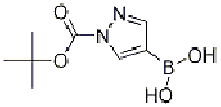 MC91790 1-Boc-1H-pyrazole-4-boronic acid 1188405-87-9 N-BOC-吡唑-4-硼酸