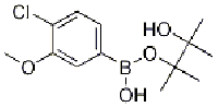 MC74542 4-Chloro-3-methoxyphenylboronic acid pinacolester 627525-96-6 2-(4-CHLORO-3-METHOXYPHENYL)-4,4,5,5-TETRAMETHYL-1,3,2-DIOXABOROLANE