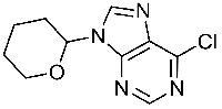MC67766 6-Chloro-9-(Tetrahydro-2-Pyranyl)-Purine 7306-68-5 6-氯-9-(四氢-2-吡喃基)嘌呤