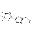 anti-HYAL1 antibody (Hyaluronidase-1) (N-Term)