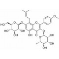 anti-HYAL1 antibody (Hyaluronidase-1) (N-Term)