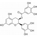 anti-HYAL1 antibody (Hyaluronidase-1) (N-Term)