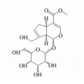 anti-HYAL1 antibody (Hyaluronidase-1) (N-Term)