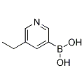 anti-HYAL1 antibody (Hyaluronidase-1) (N-Term)