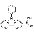 anti-HYAL1 antibody (Hyaluronidase-1) (N-Term)