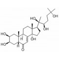 anti-HYAL1 antibody (Hyaluronidase-1) (N-Term)
