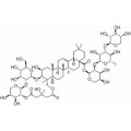 anti-HYAL1 antibody (Hyaluronidase-1) (N-Term)