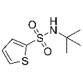 anti-HYAL1 antibody (Hyaluronidase-1) (N-Term)