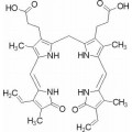 anti-HYAL1 antibody (Hyaluronidase-1) (N-Term)
