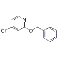 anti-HYAL1 antibody (Hyaluronidase-1) (N-Term)