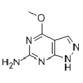 anti-HYAL1 antibody (Hyaluronidase-1) (N-Term)