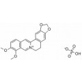 anti-HYAL1 antibody (Hyaluronidase-1) (N-Term)