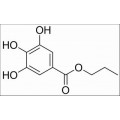 anti-HYAL1 antibody (Hyaluronidase-1) (N-Term)