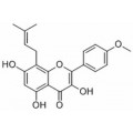 anti-HYAL1 antibody (Hyaluronidase-1) (N-Term)