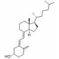 anti-HYAL1 antibody (Hyaluronidase-1) (N-Term)