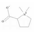 anti-HYAL1 antibody (Hyaluronidase-1) (N-Term)