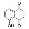 anti-HYAL1 antibody (Hyaluronidase-1) (N-Term)