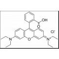 anti-HYAL1 antibody (Hyaluronidase-1) (N-Term)