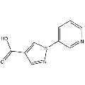 anti-HYAL1 antibody (Hyaluronidase-1) (N-Term)
