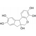anti-HYAL1 antibody (Hyaluronidase-1) (N-Term)
