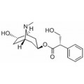 anti-HYAL1 antibody (Hyaluronidase-1) (N-Term)