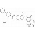 anti-HYAL1 antibody (Hyaluronidase-1) (N-Term)
