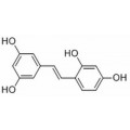 anti-HYAL1 antibody (Hyaluronidase-1) (N-Term)