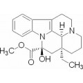 anti-HYAL1 antibody (Hyaluronidase-1) (N-Term)