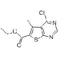 anti-HYAL1 antibody (Hyaluronidase-1) (N-Term)