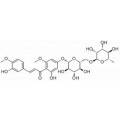 anti-HYAL1 antibody (Hyaluronidase-1) (N-Term)