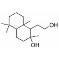 anti-HYAL1 antibody (Hyaluronidase-1) (N-Term)