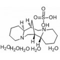 anti-HYAL1 antibody (Hyaluronidase-1) (N-Term)
