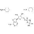 anti-HYAL1 antibody (Hyaluronidase-1) (N-Term)