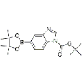 anti-HYAL1 antibody (Hyaluronidase-1) (N-Term)