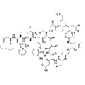 anti-HYAL1 antibody (Hyaluronidase-1) (N-Term)