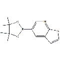 anti-HYAL1 antibody (Hyaluronidase-1) (N-Term)