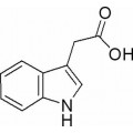 anti-HYAL1 antibody (Hyaluronidase-1) (N-Term)