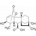 anti-HYAL1 antibody (Hyaluronidase-1) (N-Term)