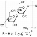 anti-HYAL1 antibody (Hyaluronidase-1) (N-Term)